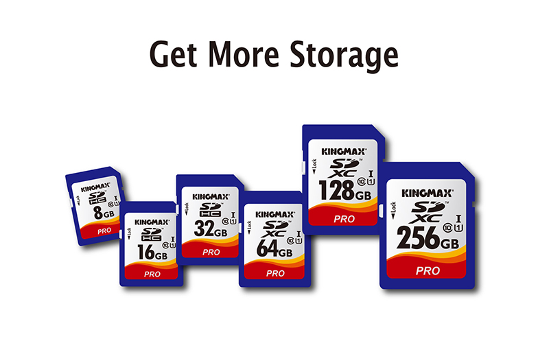 Memory Card SD.jpg