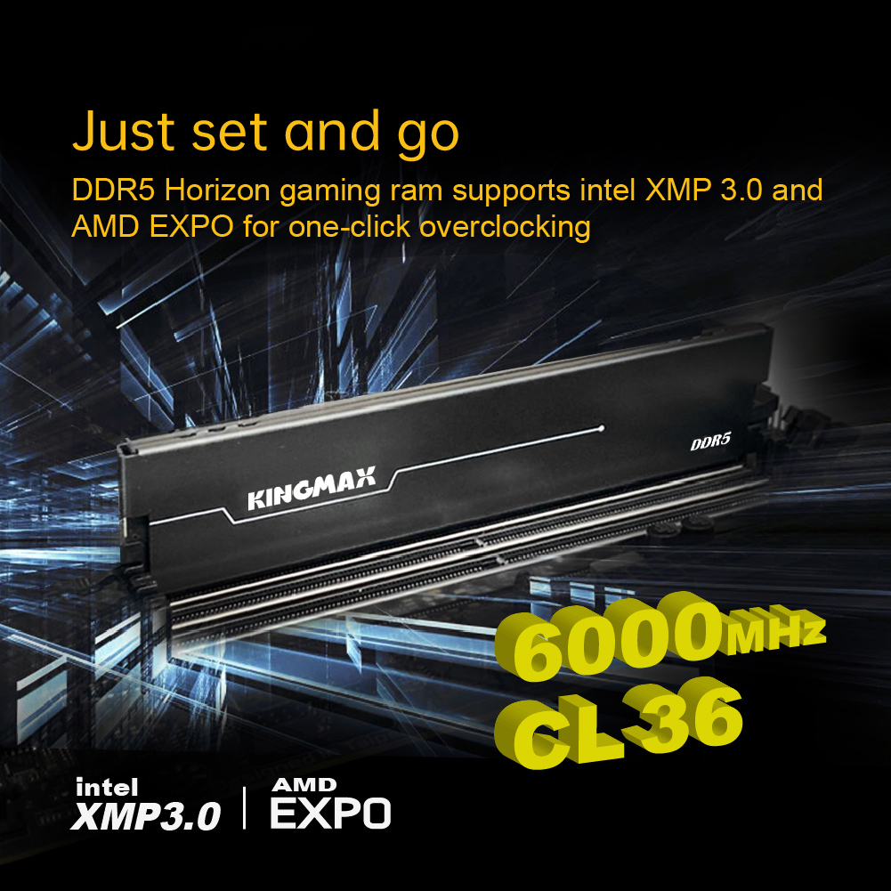 Horizon DDR5 Long-Dimm Web Page EN-02.jpg