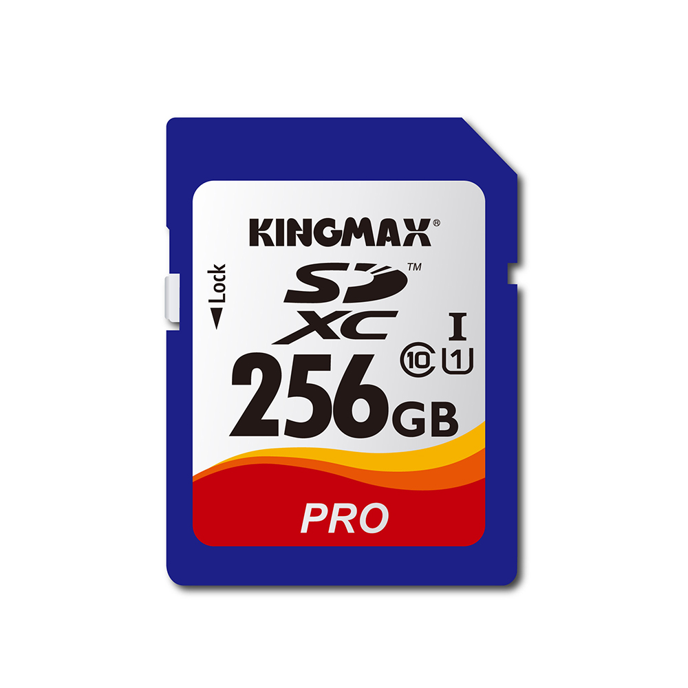 Memory Card SD (1).jpg