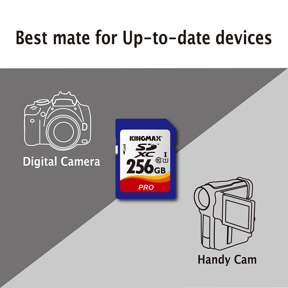 Memory Card SD (2).jpg