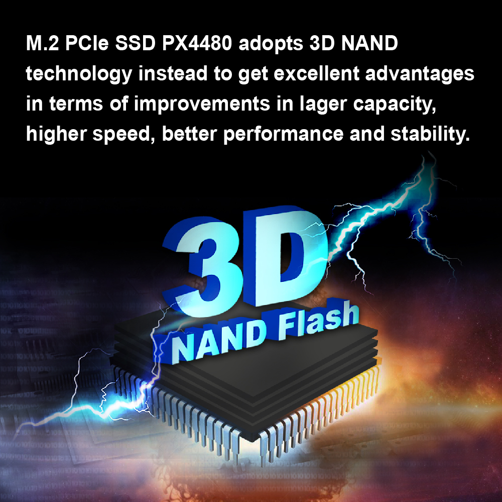 M.2 PCIe 4.0 SSD PX4480 Web Page EN-03.jpg